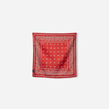Paisley Red, this color